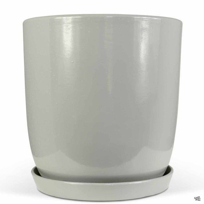Eastham Egg Pots with Attached Saucer Shiny Grey - 9.75 inch by 9.75 inch