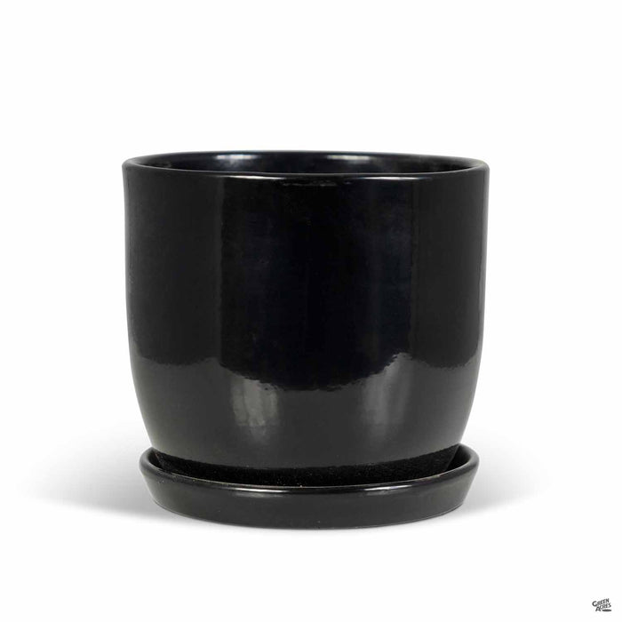 Eastham Egg Pots with Attached Saucer Shiny Black - 5.5 inch by 5.5 inch