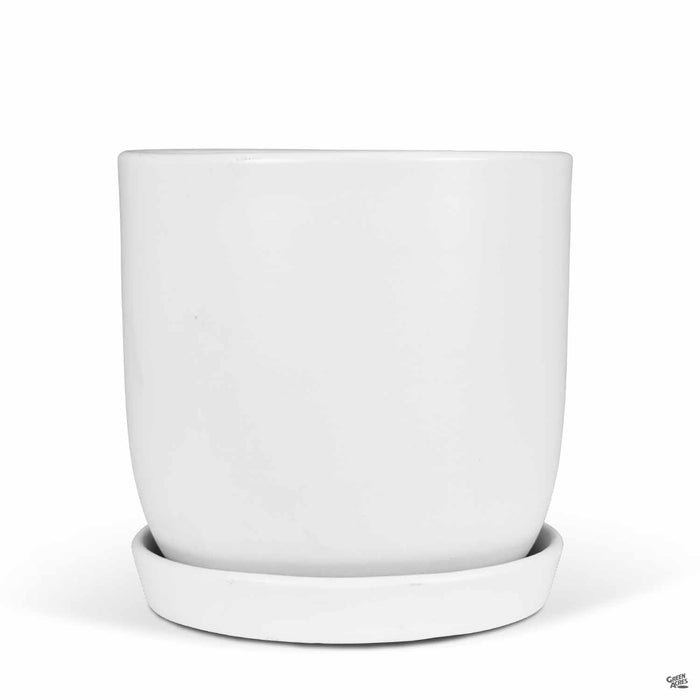 Eastham Egg Pots with Attached Saucer Matte White - 7.75 inch by 7.75 inch