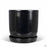 Eastham Egg Pots with Attached Saucer Shiny Black - 7.75 inch by 7.75 inch