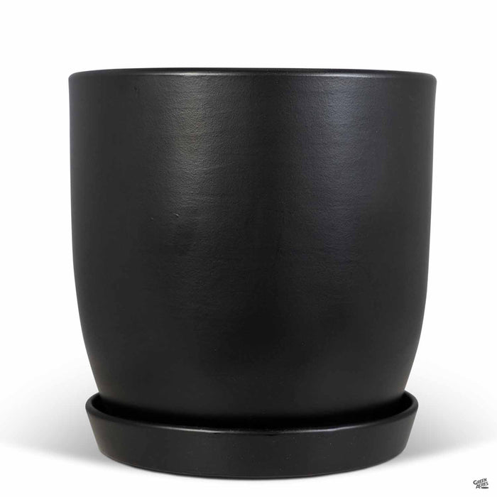 Eastham Egg Pots with Attached Saucer Matte Black - 9.75 inch by 9.75 inch