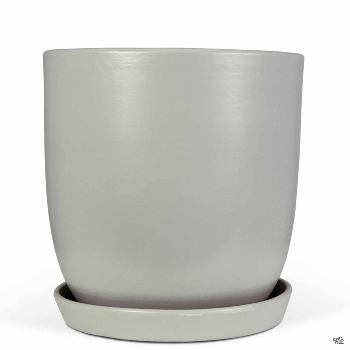 Eastham Egg Pots with Attached Saucer Matte Grey - 9.75 inch by 9.75 inch