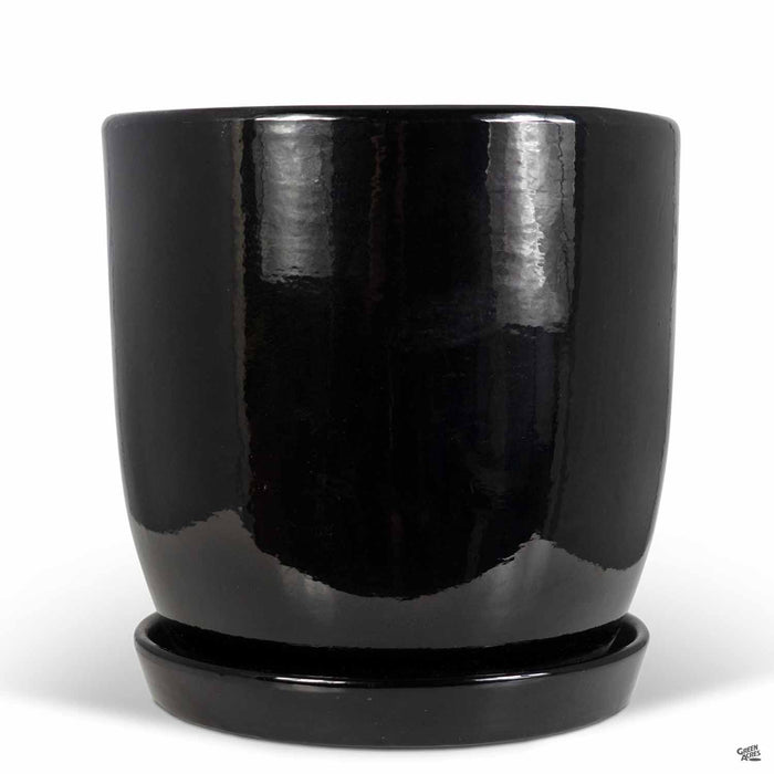 Eastham Egg Pots with Attached Saucer Shiny Black - 9.75 inch by 9.75 inch