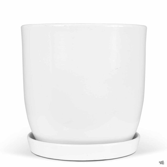 Eastham Egg Pots with Attached Saucer Shiny White - 9.75 inch by 9.75 inch