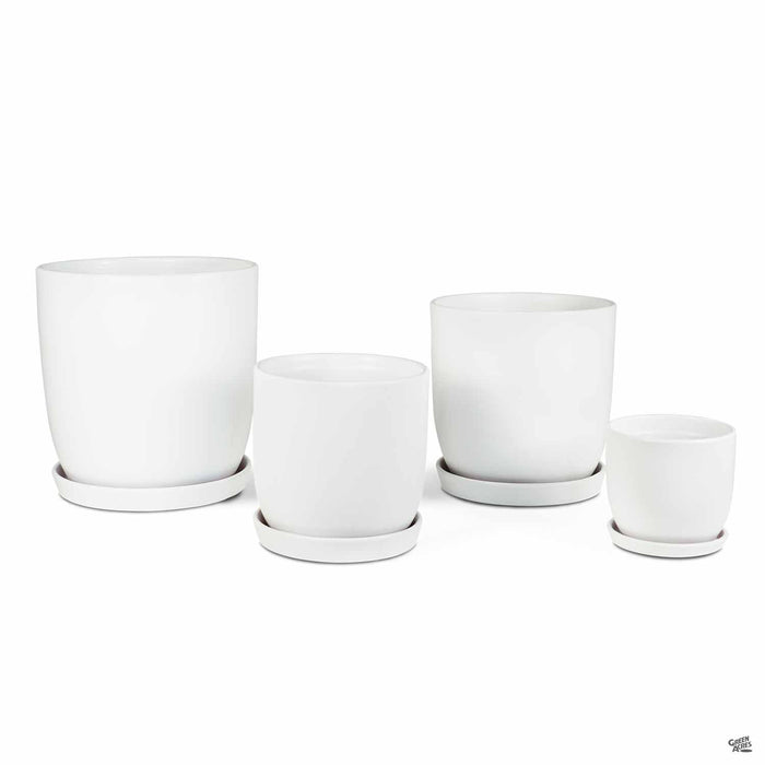 Eastham Egg Pots with Attached Saucer Matte White group