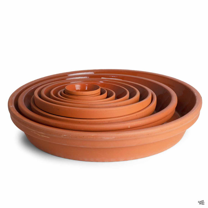 lowes terra cotta plant saucer German Clay Saucer Terracotta — Green Acres Nursery & Supply