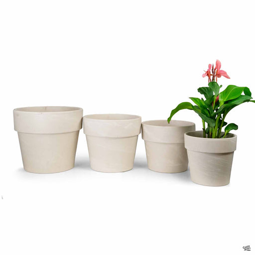 German Calima Clay Pot Granite Group with Plant