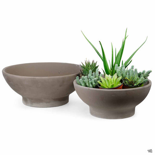 German Planter Bowl Clay Pot Chocolate Marbled Group with Plants