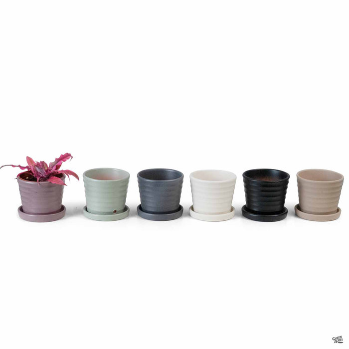 Matte Ribbed Pot group