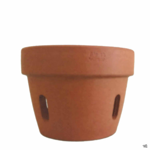 Orchid Clay Pot in Terracotta