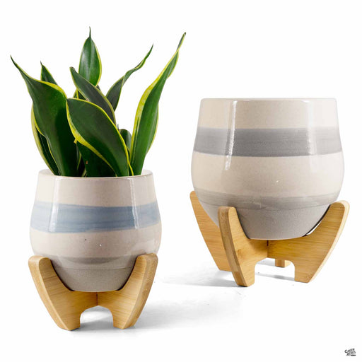 Petra Planter and Wooden Stand