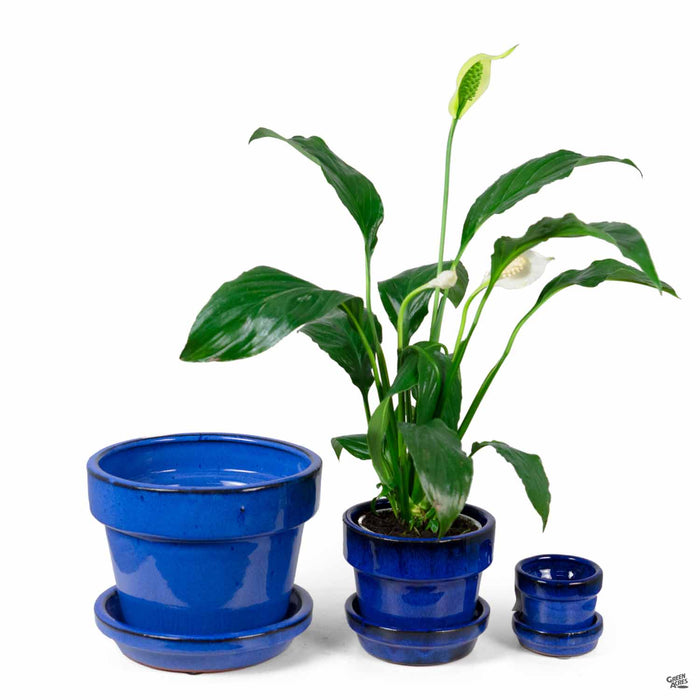 Standard Pot with Attached Saucer in Blue All Sizes
