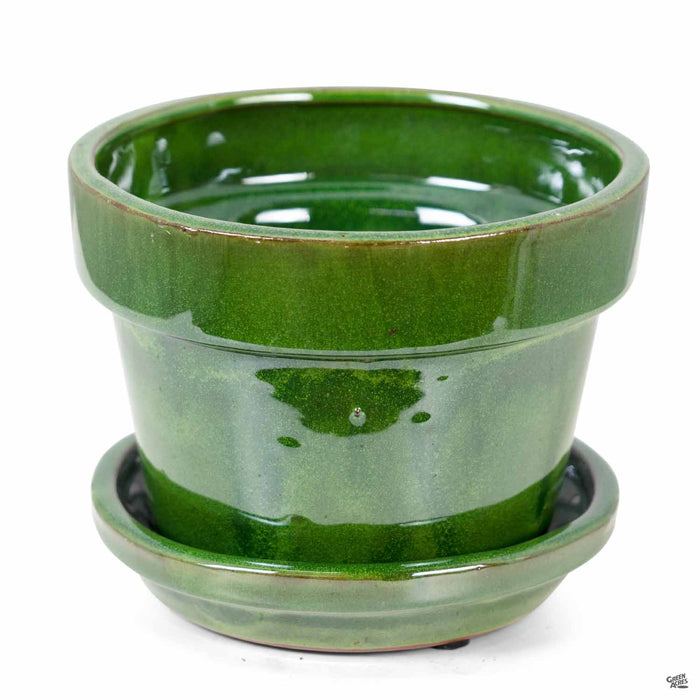 Standard Pot with Attached Saucer in Tropical Green 6.75 inch
