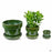 Standard Pot with Attached Saucer in Tropical Green All Sizes