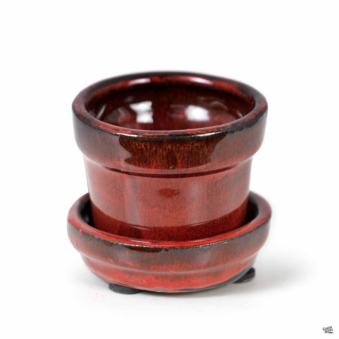 Standard Pot with Attached Saucer in Tropical Red 2.75 inch