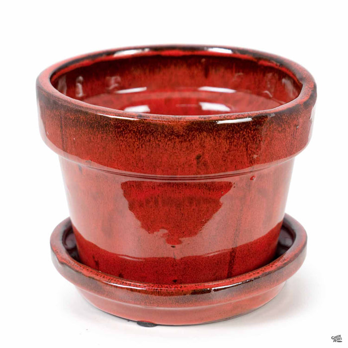 Standard Pot with Attached Saucer in Tropical Red 6.75 inch