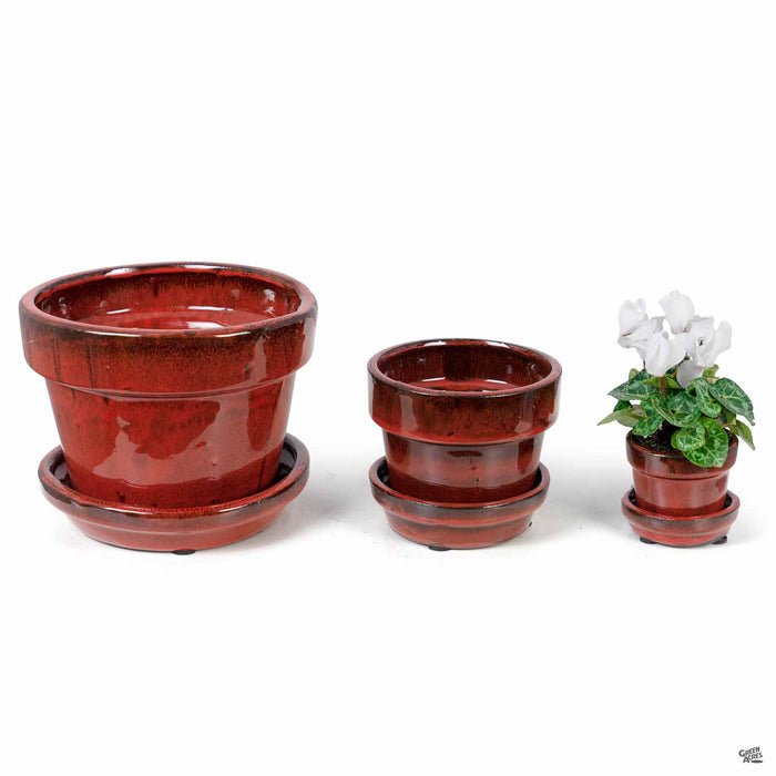 Standard Pot with Attached Saucer in Tropical Red All Sizes