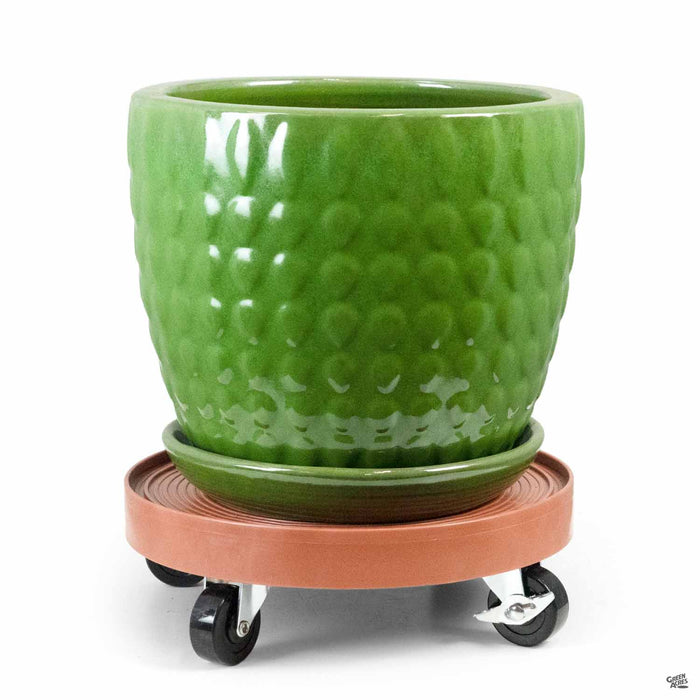 plant pot dolly Devault Plant Dolly — Green Acres Nursery & Supply