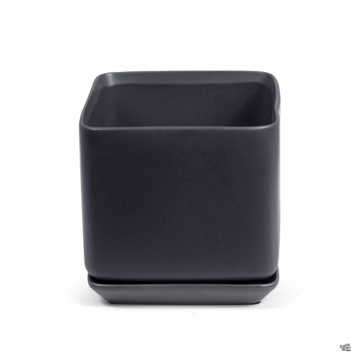 Cube with Attached Saucer in Black 5.5 inch