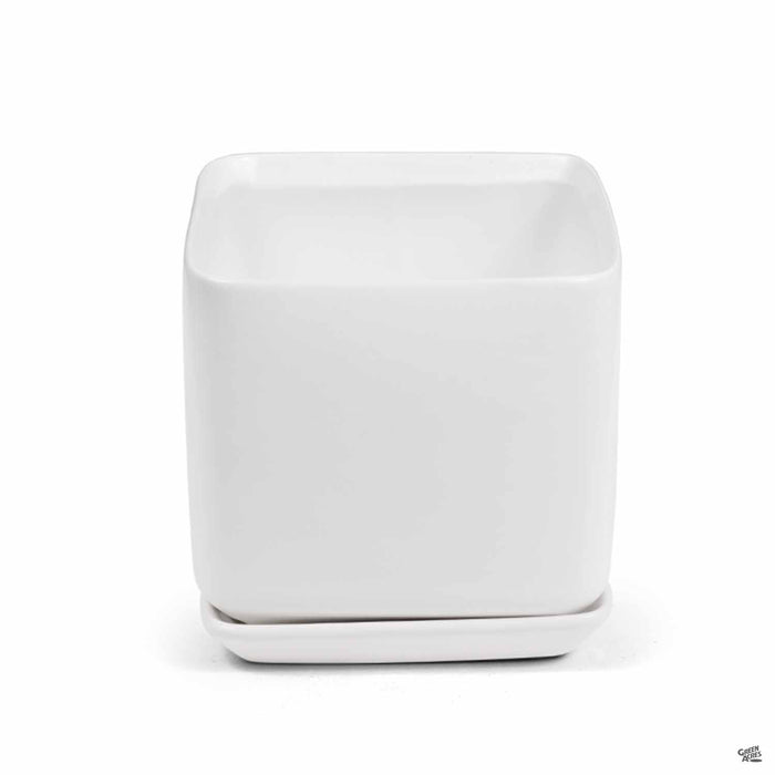 Cube with Attached Saucer in White 5.5 inch