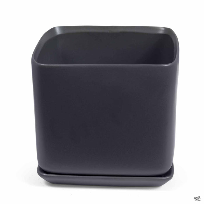 Cube with Attached Saucer in Black 7 inch