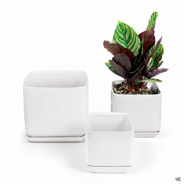 Cube with Attached Saucer in White - Group