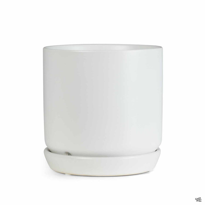 Cylinder with Attached Saucer in White 5 inch
