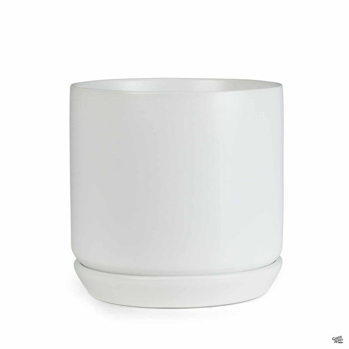 Cylinder with Attached Saucer in White 6 inch