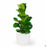 PacHome Cylinder with Attached Saucer 6 inch in White with Ficus 'Bambino'