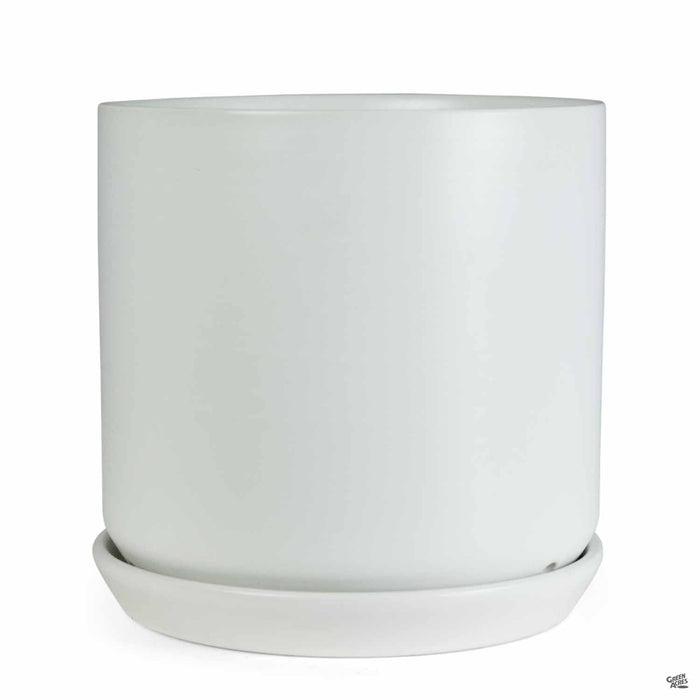 Cylinder with Attached Saucer in White 7 inch