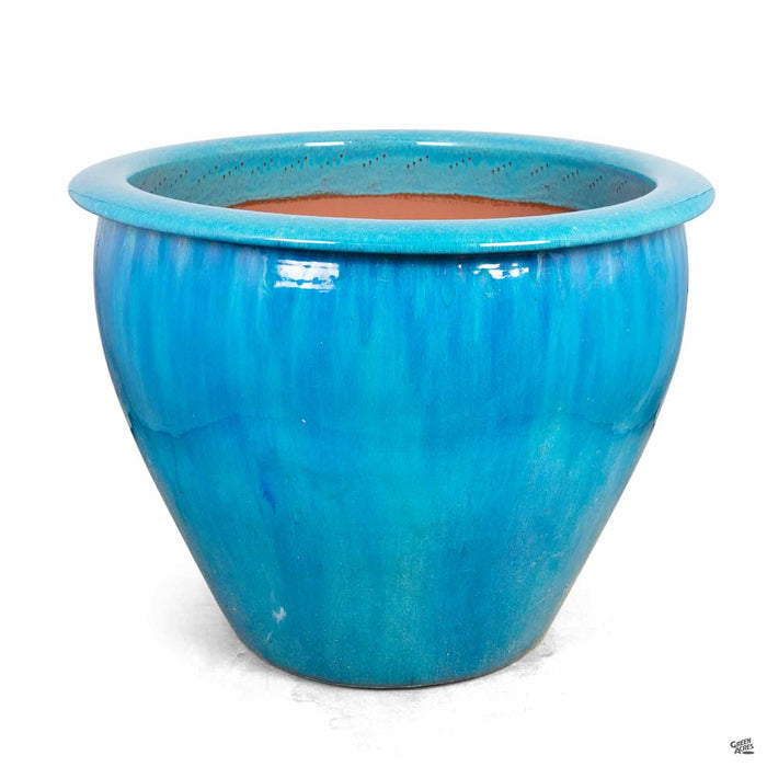 Fish Bowl Pot in Turquoise Small