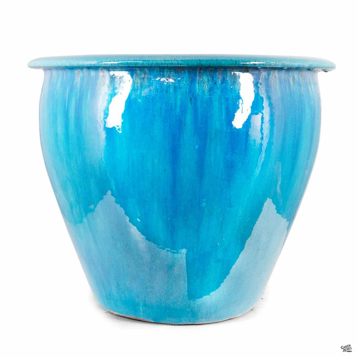 Fish Bowl Pot in Turquoise Medium