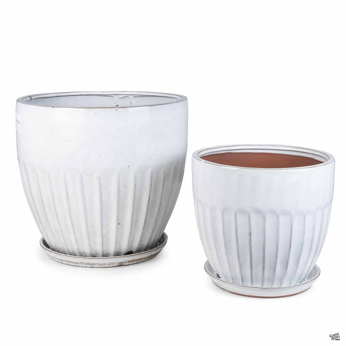 Zaragoza Planter with Attached Saucer set in white