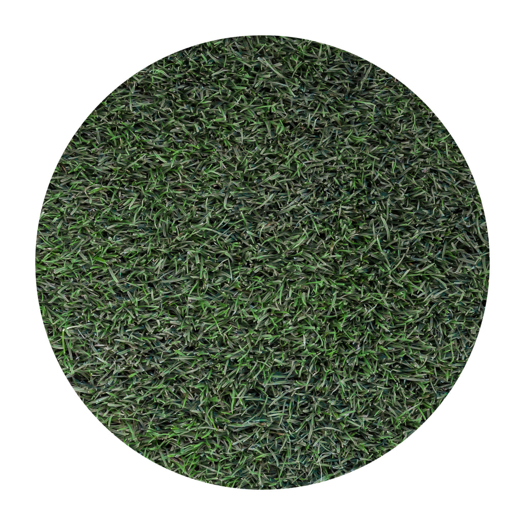 Blue Rye — Green Acres Nursery & Supply