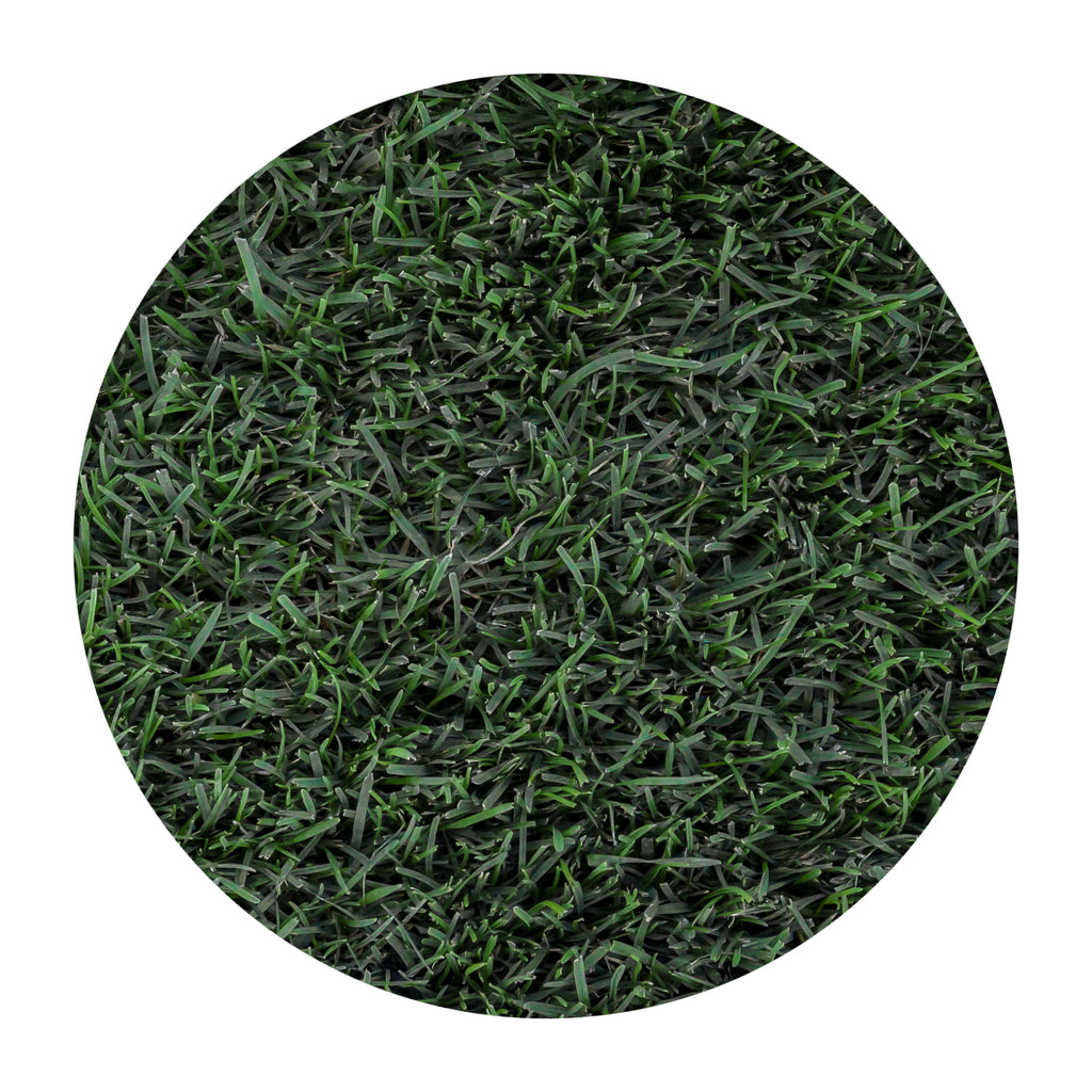 100% Bluegrass — Green Acres Nursery & Supply