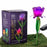 Solar Mini Tulip Stake Purple