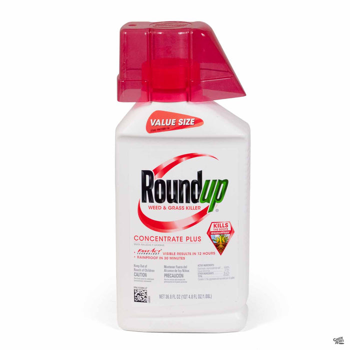 Roundup Weed and Grass Killer Concentrate Plus 36.8 ounce
