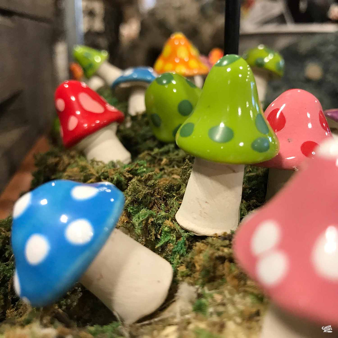 Shroomyz