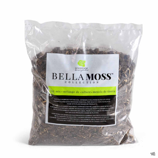 Syndicate Bella Moss Collection Soil Mix