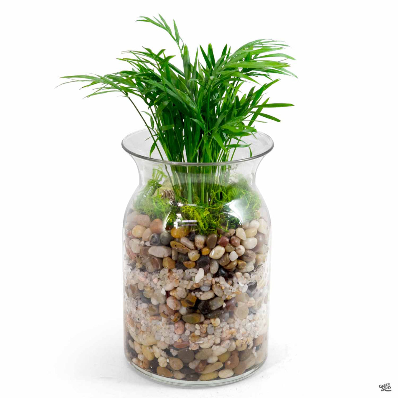 Terrarium Vases