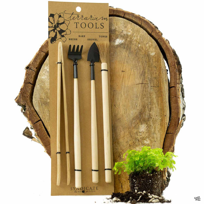 house plant tool kit Terrarium Tool Kit 4pc — Green Acres Nursery & Supply