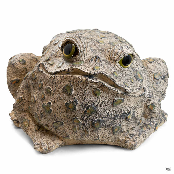 Toad Hollow Toad Figurine Jumbo in Natural
