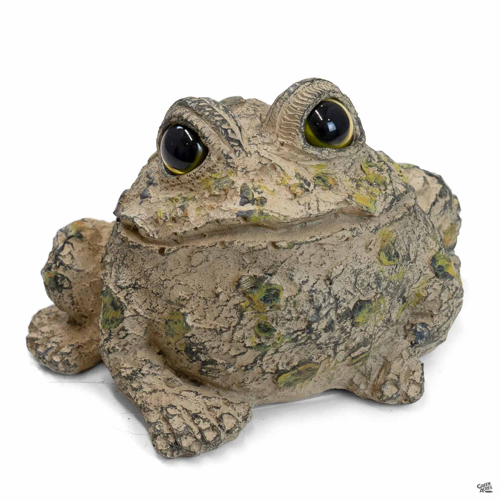 Toad Figurine — Green Acres Nursery & Supply