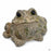 Toad Hollow Toad Figurine Extra- Small in Natural