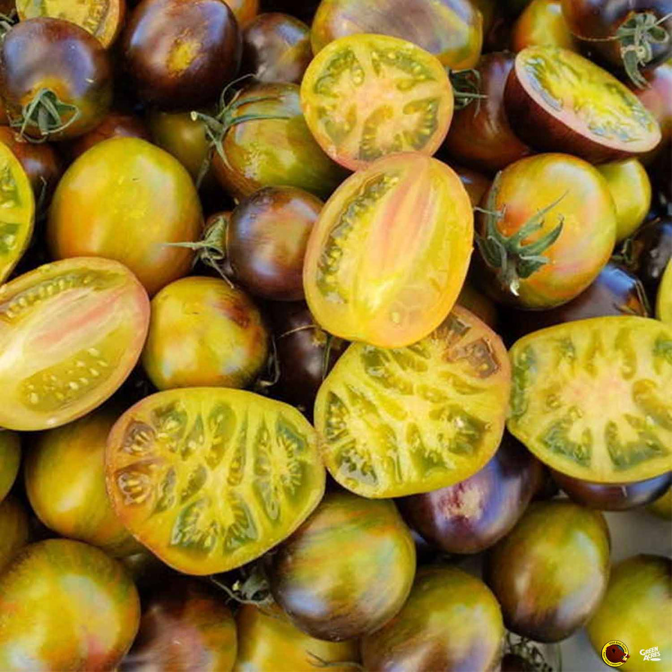 Wild Boar Tomatoes