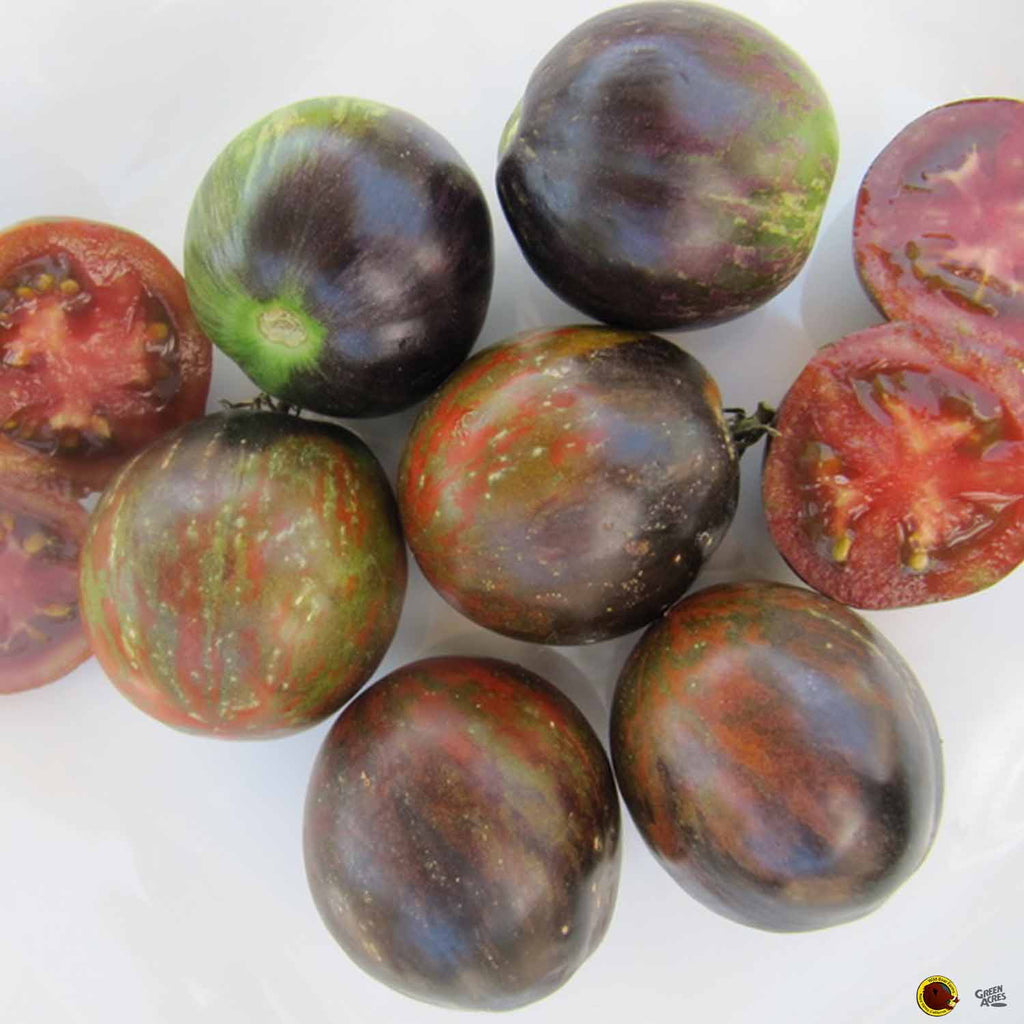 Tomato 'Cosmic Eclipse' — Green Acres Nursery & Supply