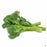 'Raab Zamboni' Broccoli heads
