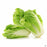 Napa Cabbage leaves